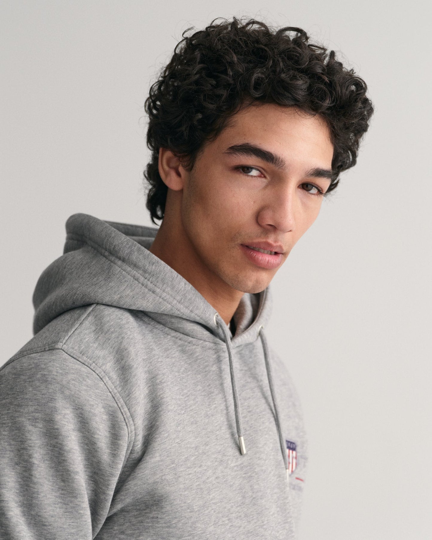 Men's Medium Archive Shield Hoodie - GREY MELANGE