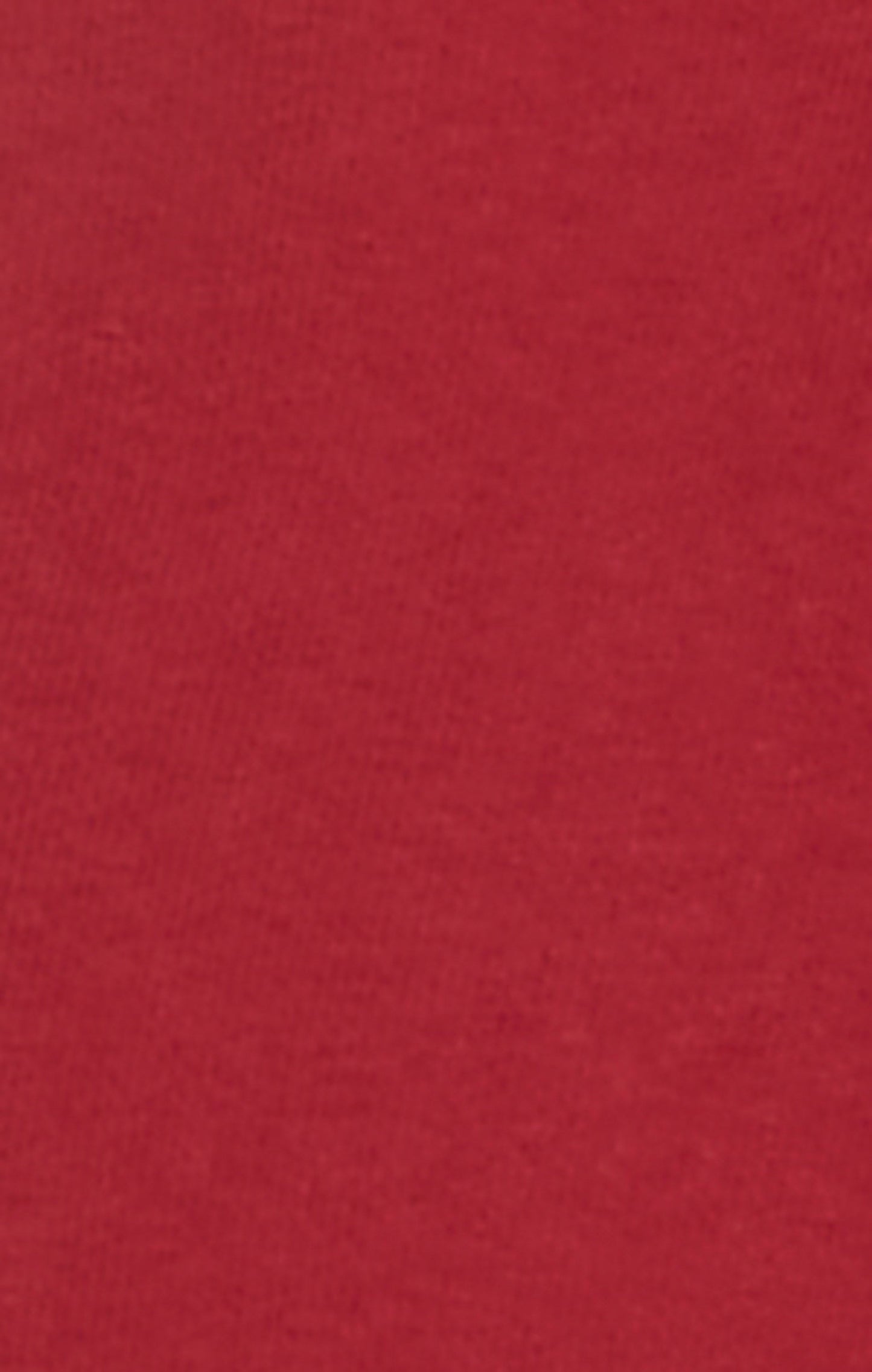 Men's Heavyweight Crewneck Sweatshirt with Brushed Interior and Print Reverse Weave