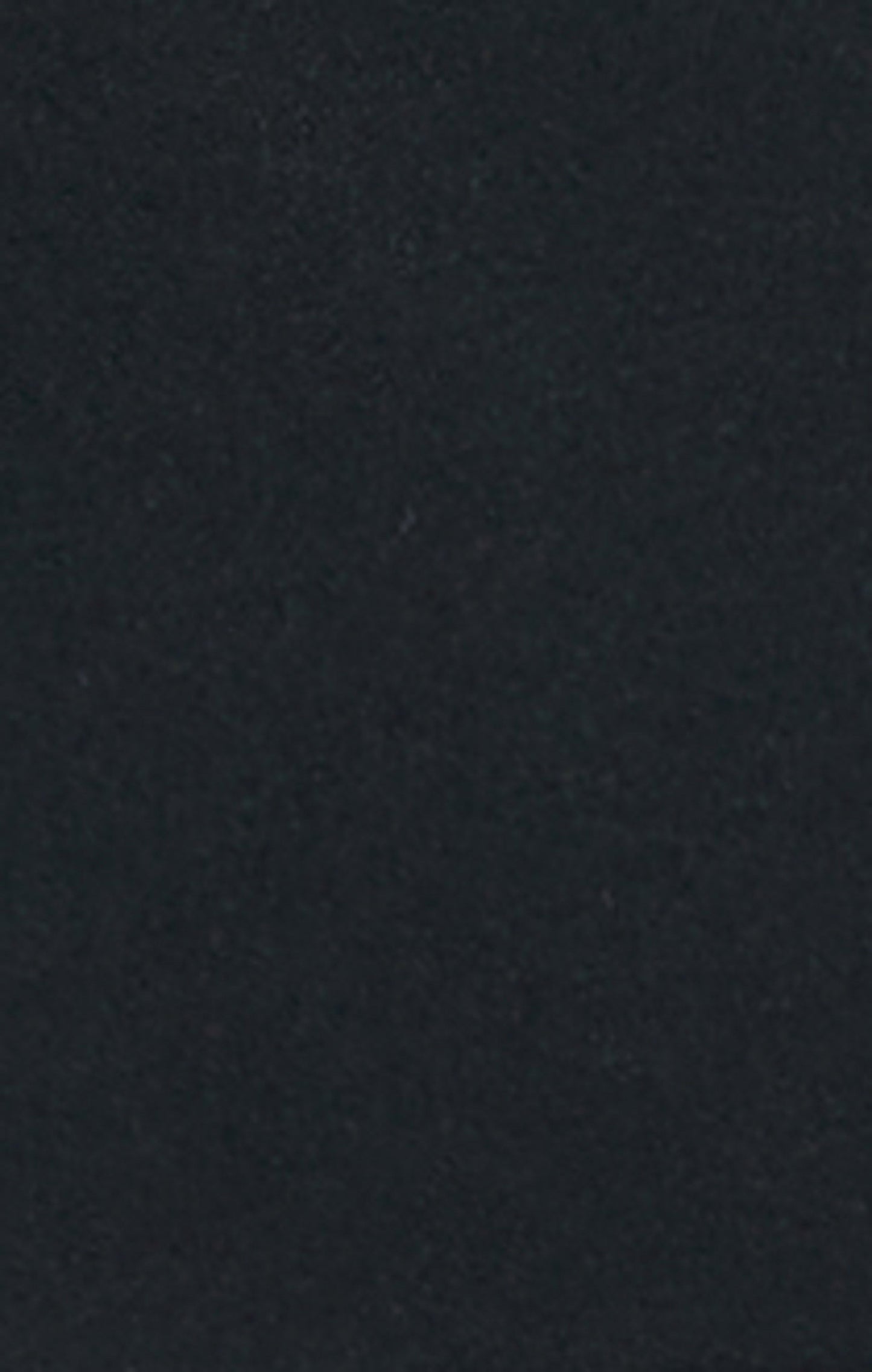 Men's Stretch Fabric Shorts