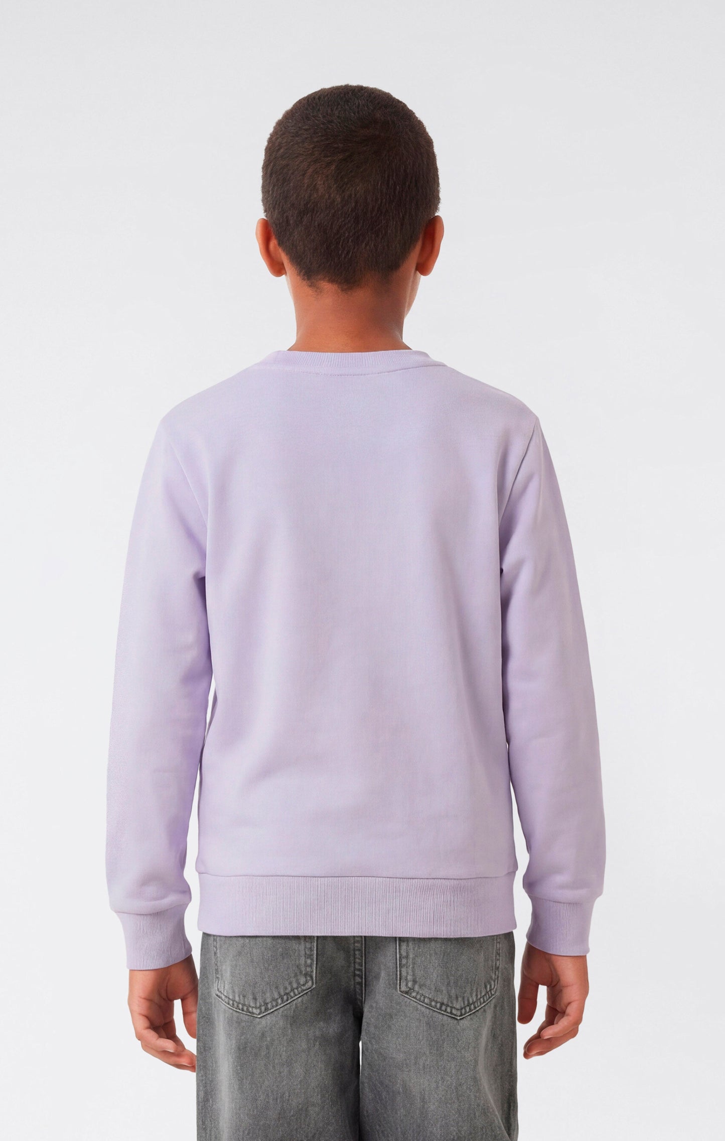 Boys' Washed Effect Crewneck Sweatshirt Icons